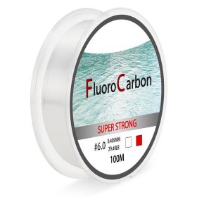 100 Meter Competitive Silk Nylon Fishing Line (Option: Transparent-0.8)